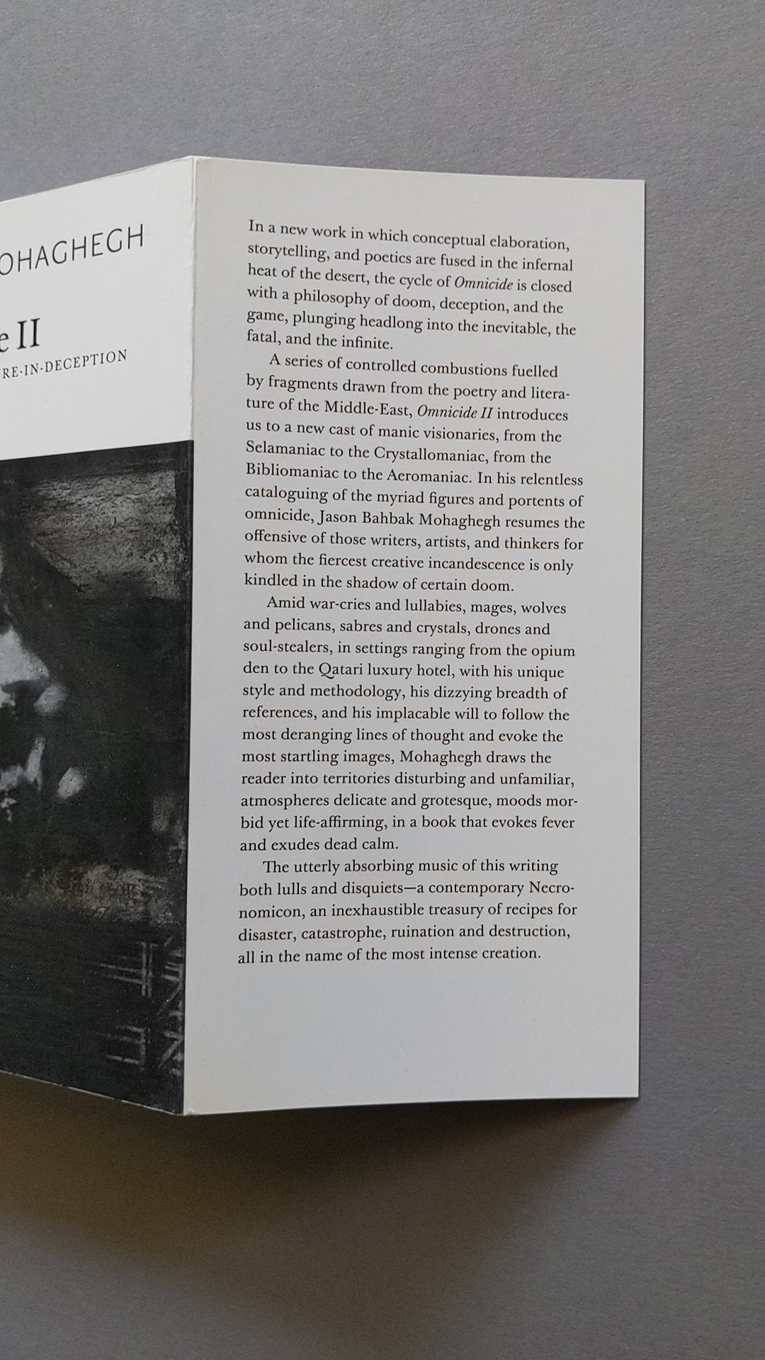 Back flap of Omnicide II presenting the publisher’s summary of the book’s philosophical themes.