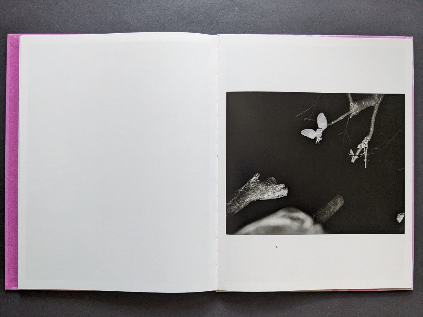 Open spread with a blank left page and a right-hand black-and-white owl in flight among branches at night.