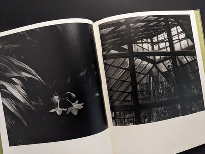 Plant shadows on glass panels, Im Treibhaus by Takeshi Shinoda.