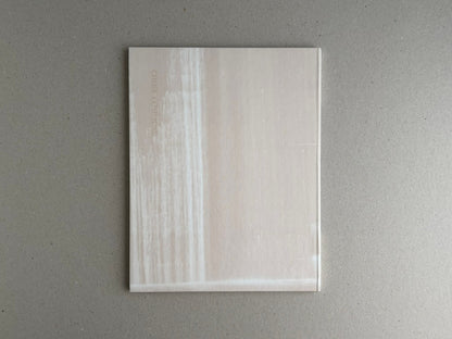 Painting – Toshio Shibata, back cover of the book in a translucent protective sleeve on a grey surface.