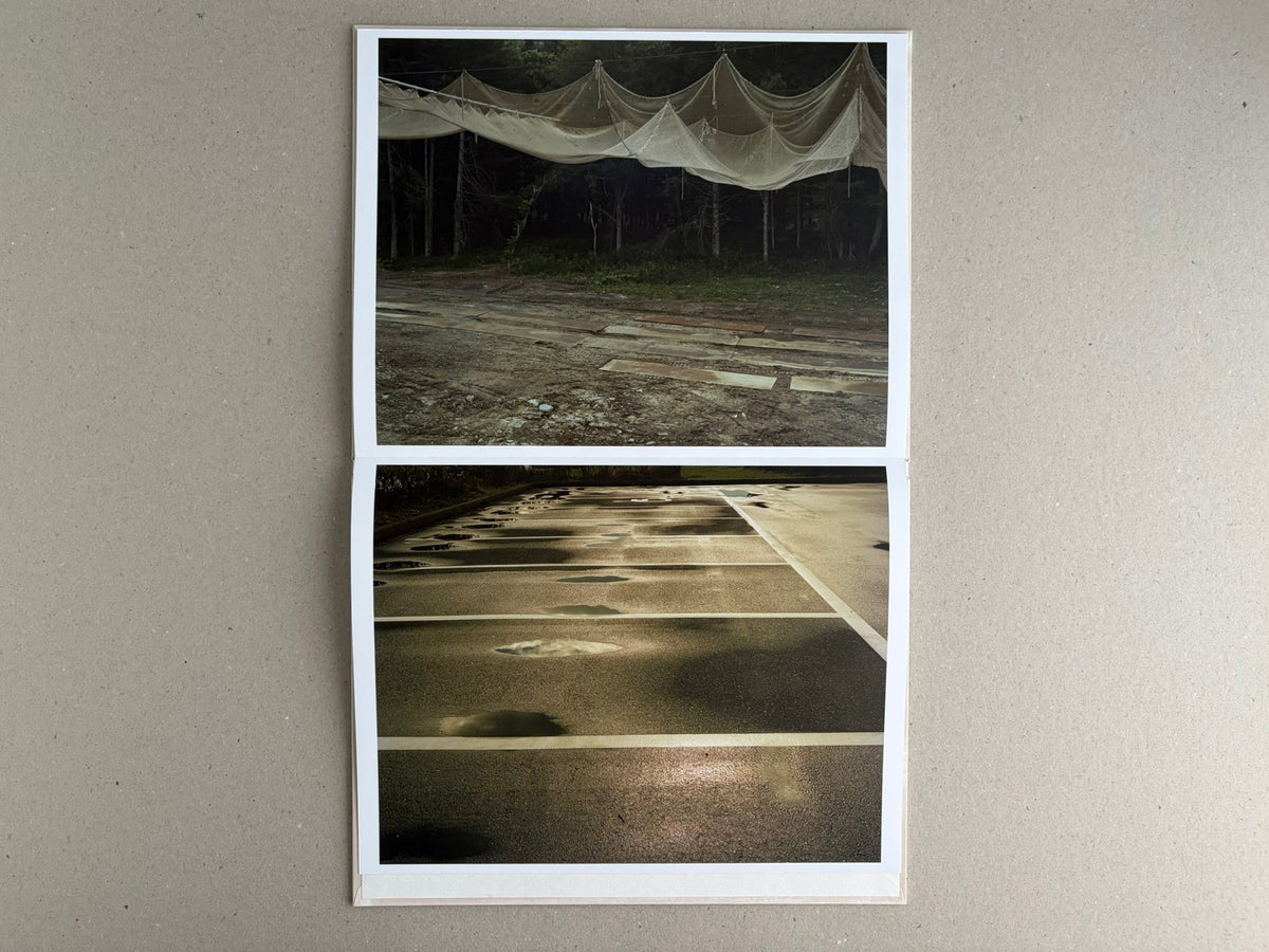 Open leporello spread from Painting – Toshio Shibata, showing two landscape photographs: a dark wooded scene with draped netting above, and a wet parking surface with reflected light.