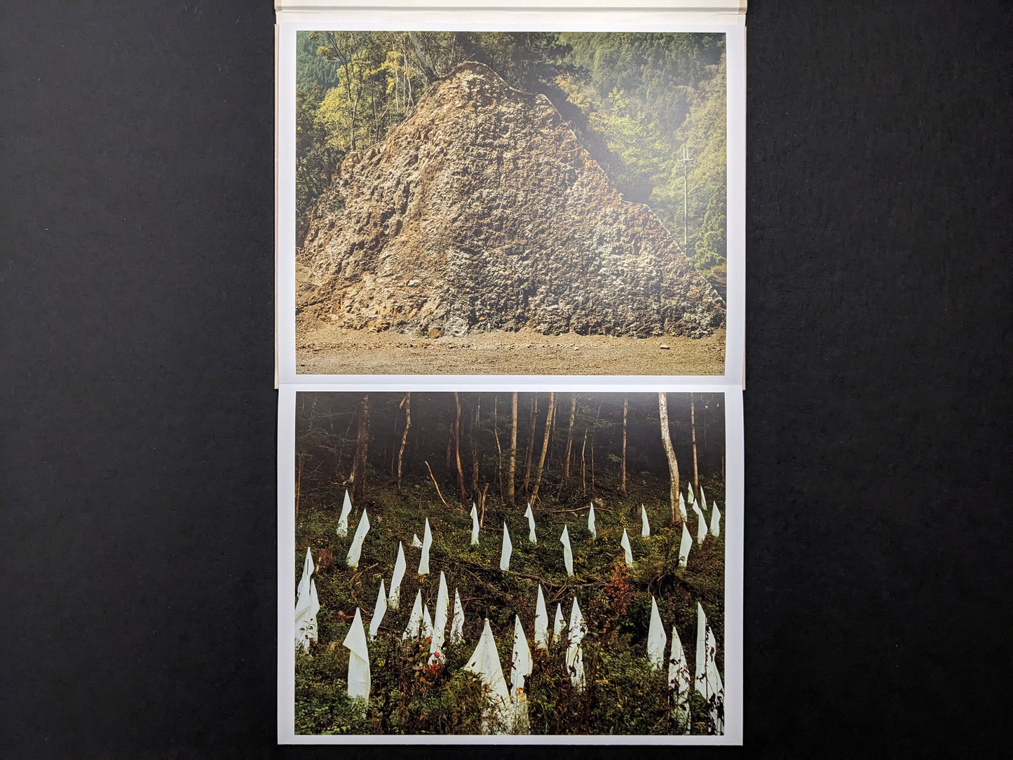 Leporello spread from Painting by Toshio Shibata showing a gravel mound in a wooded landscape and rows of white tree guards.