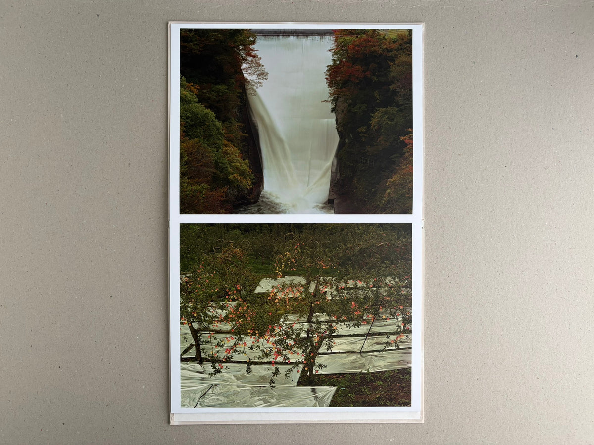 Open leporello spread from Painting – Toshio Shibata, showing two landscape photographs: a waterfall between steep wooded cliffs above, and trees over reflective ground below.