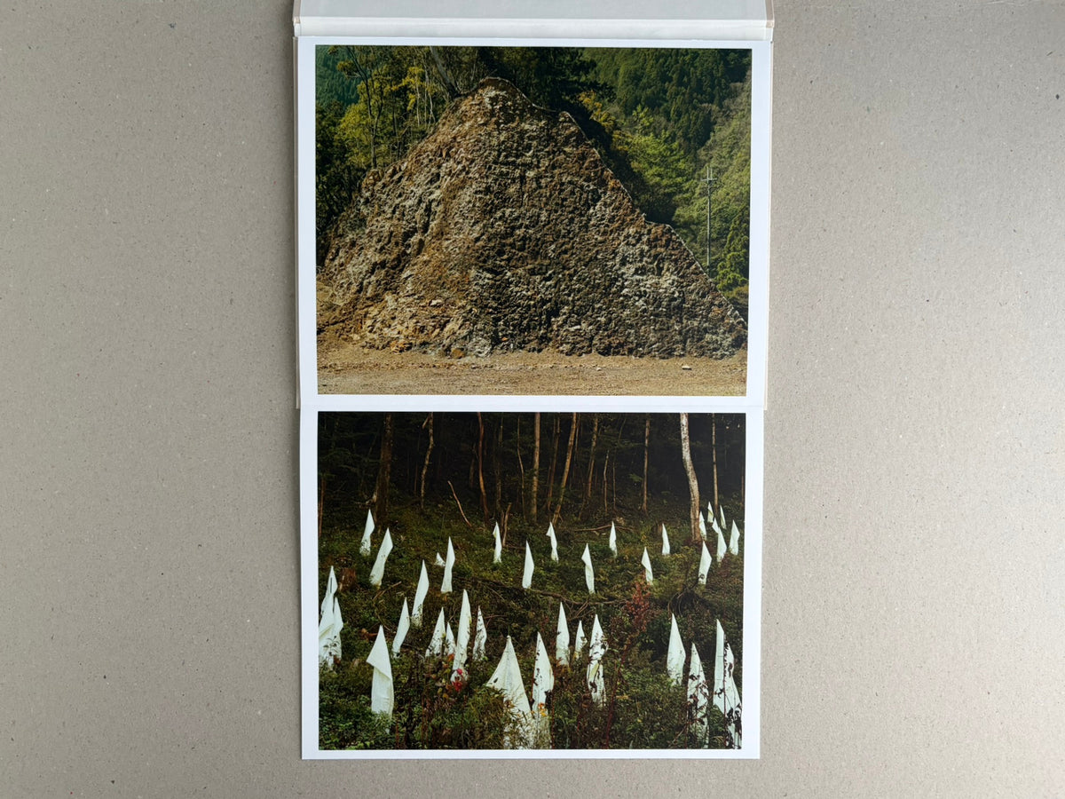 Open leporello spread from Painting – Toshio Shibata, showing two colour landscape photographs: a large rock formation above and a forest scene with white markers below.