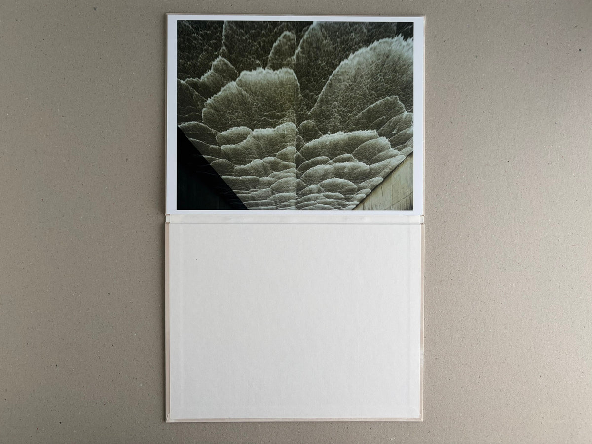 Open leporello book from Painting – Toshio Shibata, showing a landscape photograph on the upper panel and a blank white lower panel.