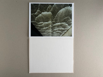 Open leporello book from Painting – Toshio Shibata, showing a landscape photograph on the upper panel and a blank white lower panel.