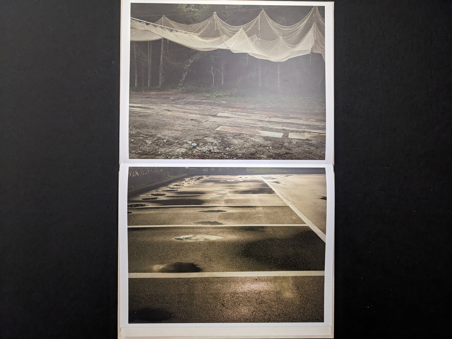 Open leporello spread showing netted structures over a forest road and puddles on a marked parking lot surface.