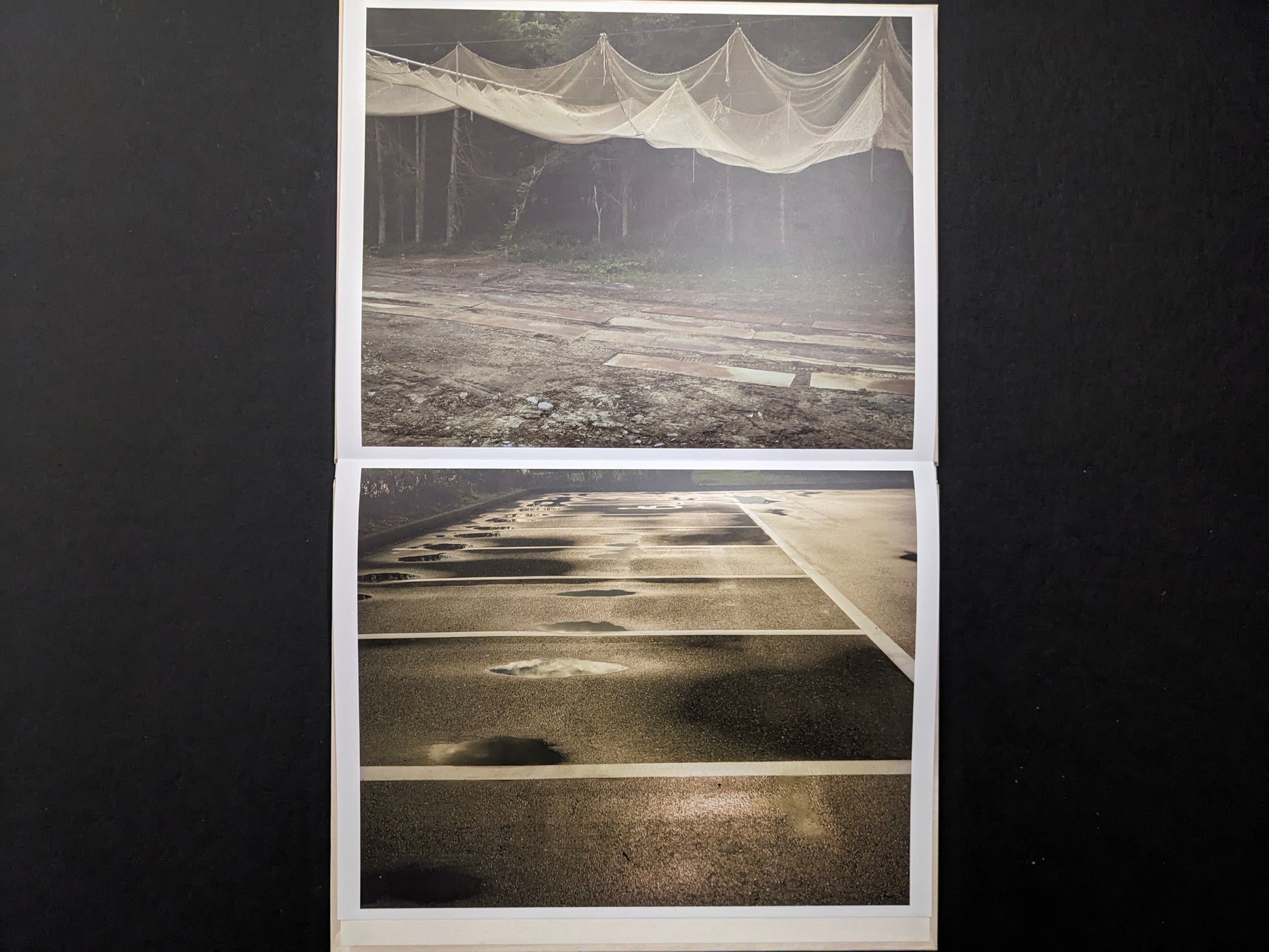 Open leporello spread showing netted structures over a forest road and puddles on a marked parking lot surface.