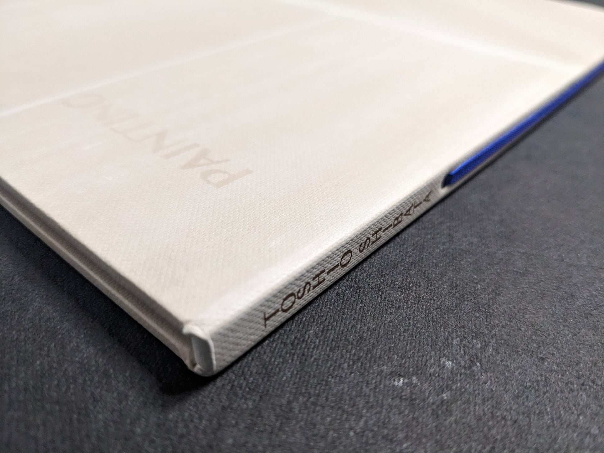 Spine detail of Painting by Toshio Shibata, with the printed title and blue ribbon visible.