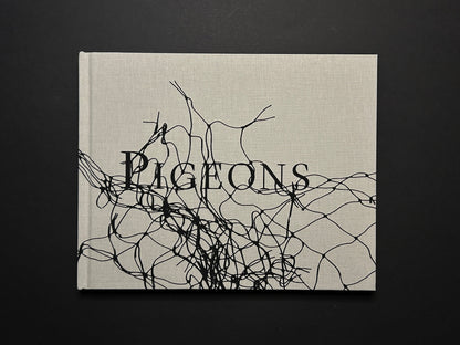 Book cover of Pigeons by Stephen Gill with abstract black line pattern on a grey background.