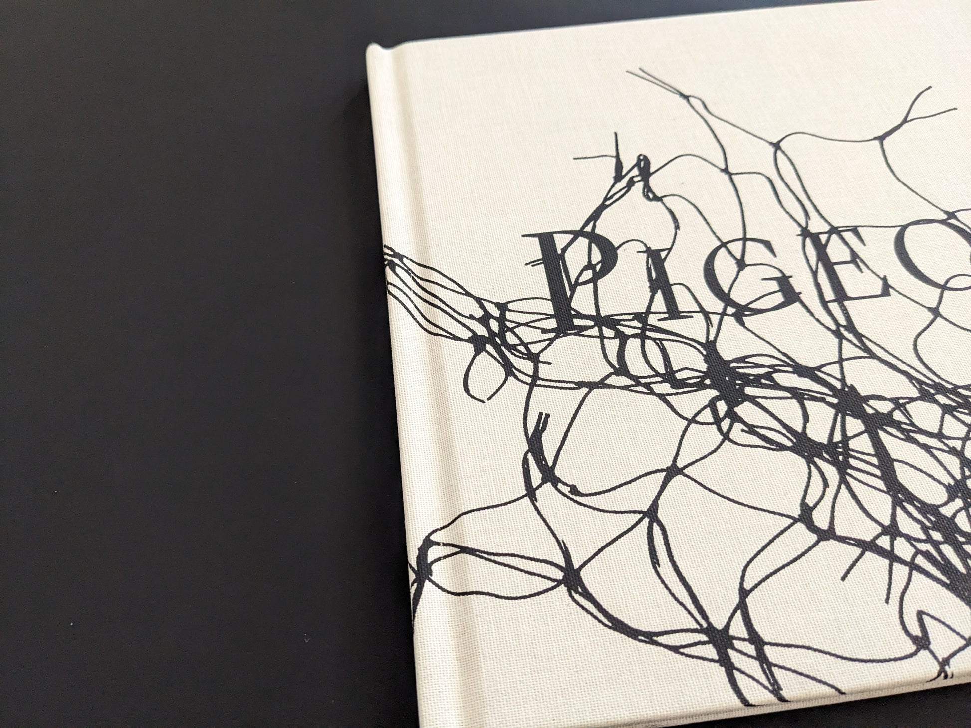 Close-up of the book spine showing light wear on the cloth binding of Pigeons by Stephen Gill
