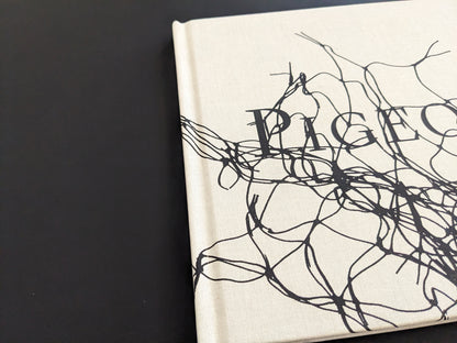 Close-up of the book spine showing light wear on the cloth binding of Pigeons by Stephen Gill