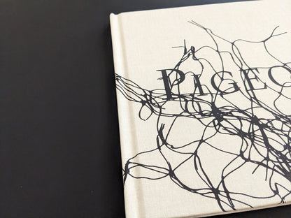 Close-up of the spine with light wear on the cloth binding of Pigeons by Stephen Gill.