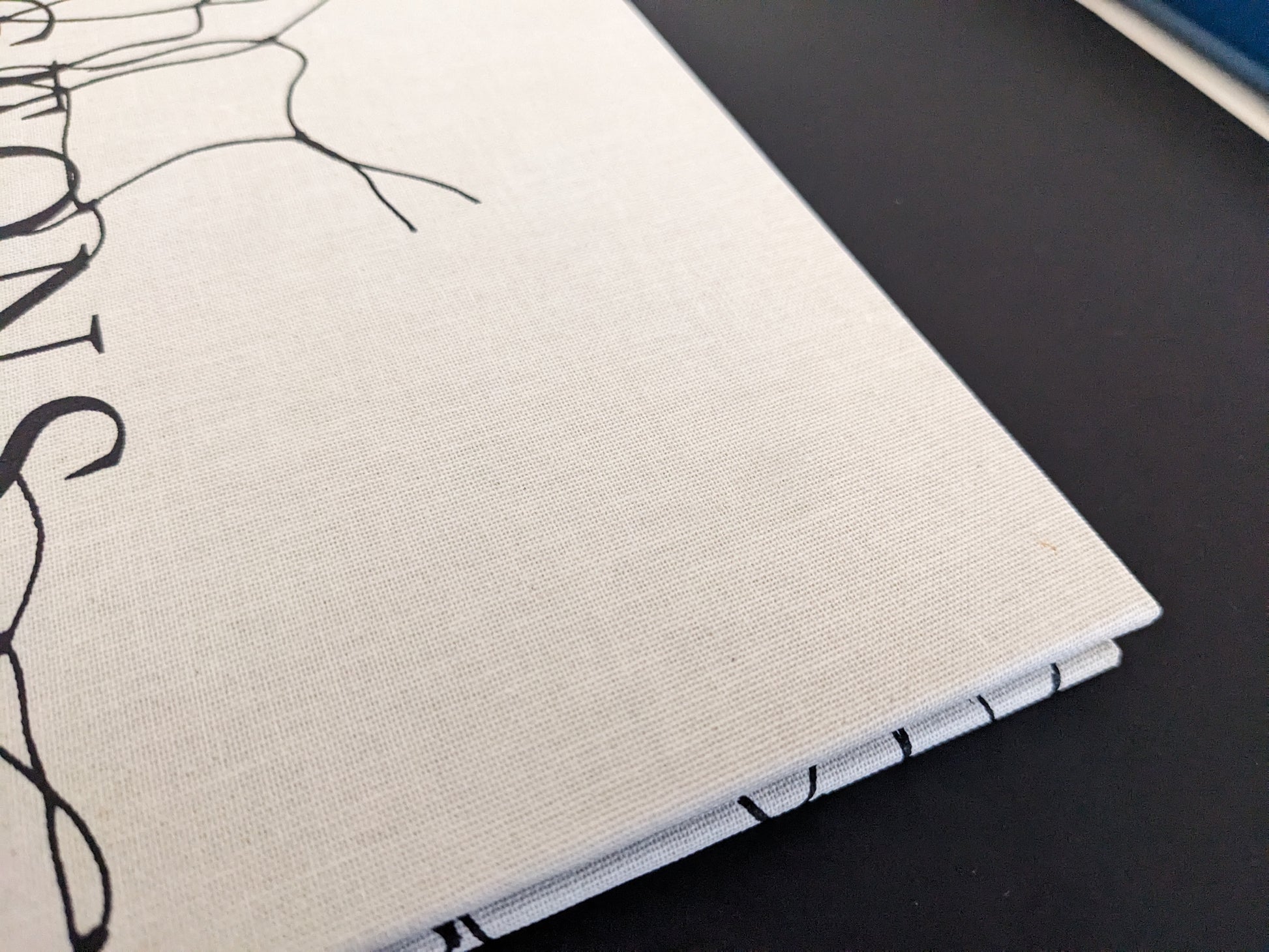 Detail of the spine showing rubbing and minor marks on the linen cover of Pigeons by Stephen Gill.