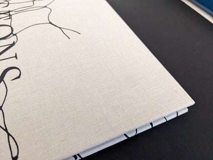 Detail of the spine showing rubbing and minor marks on the linen cover of Pigeons by Stephen Gill.