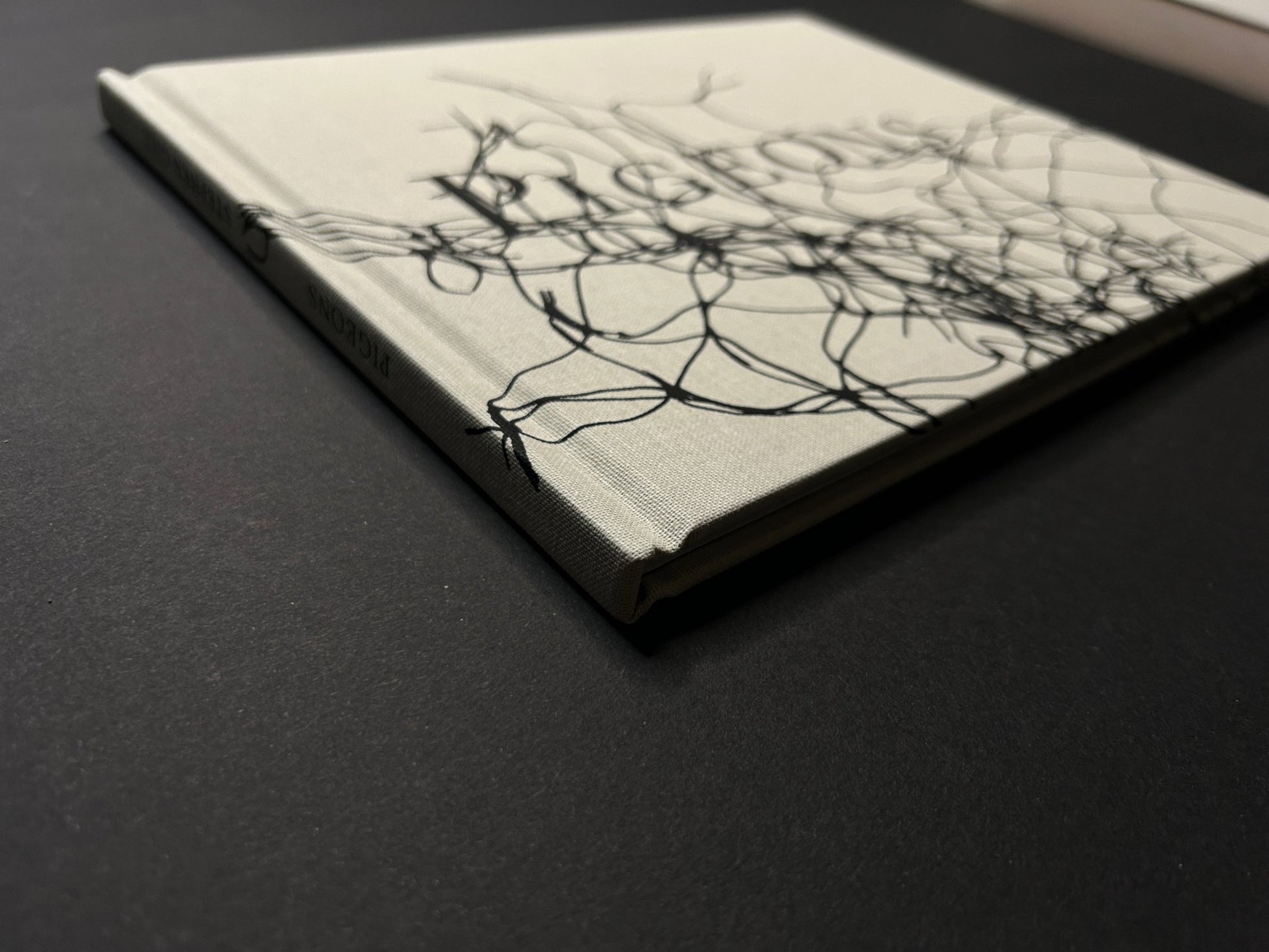 Side view of the photobook showing the spine and cover of Pigeons by Stephen Gill.