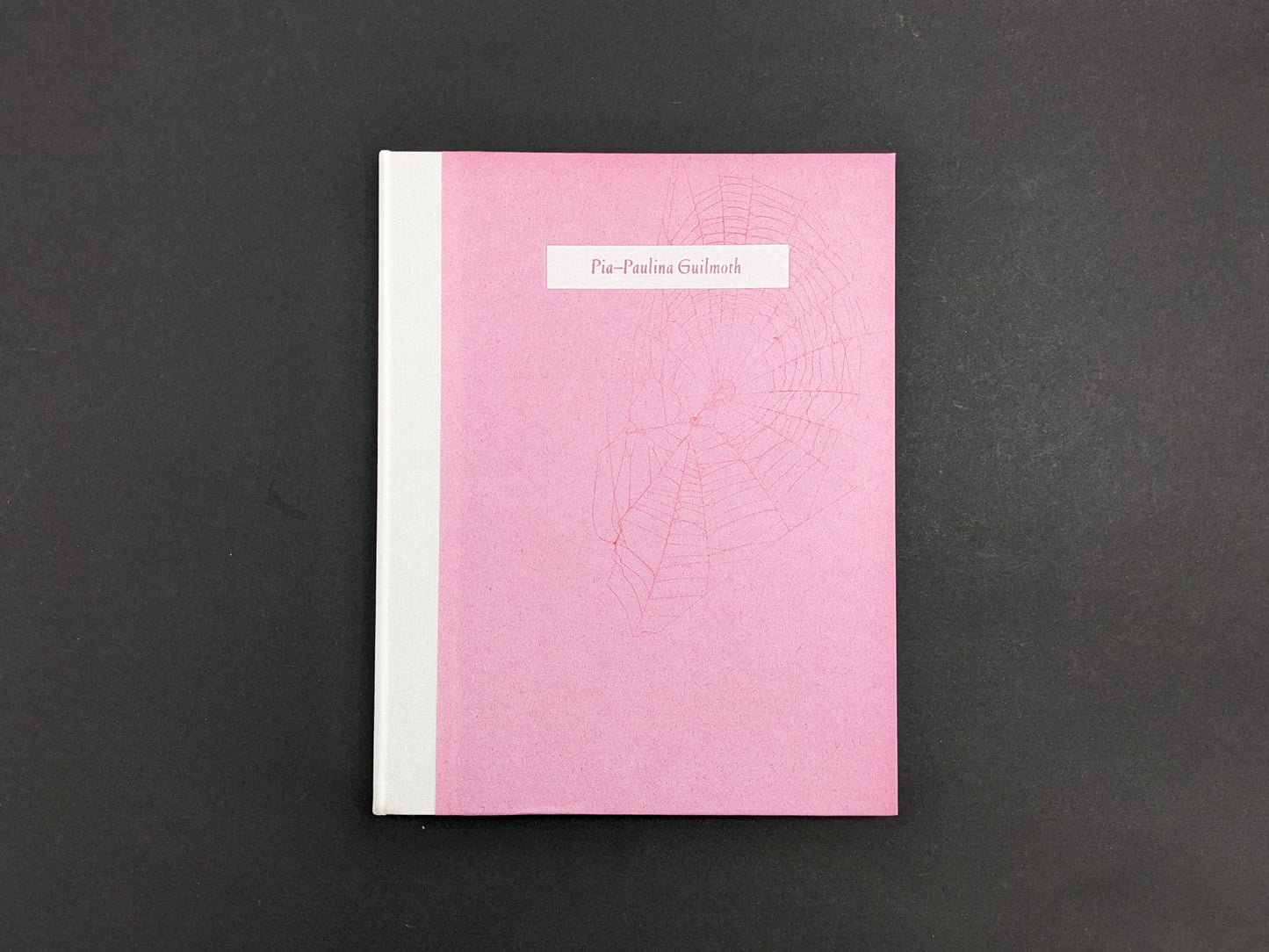 Front cover of Flowers Drink the River on pink paper with a pale cloth spine and a spiderweb motif.
