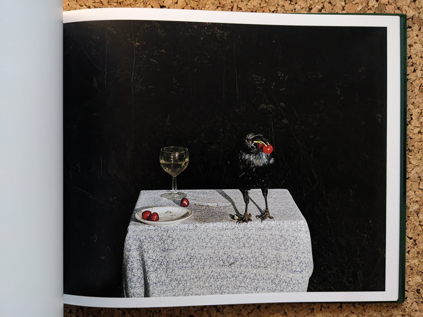 Interior spread from Plates I-XXXI, black bird holding a cherry beside a wine glass and a plate with cherries.