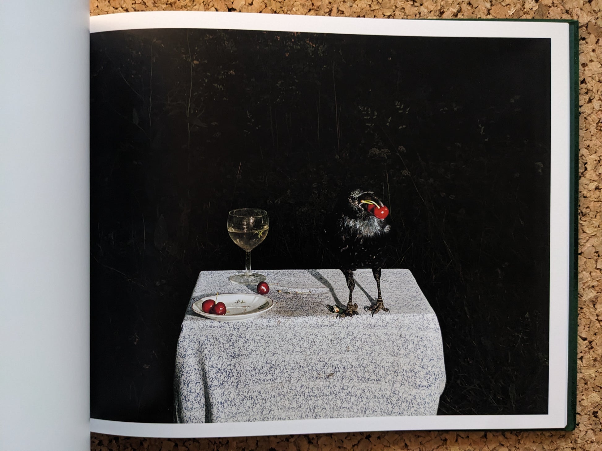 Interior spread from Plates I-XXXI, black bird holding a cherry beside a wine glass and a plate with cherries.