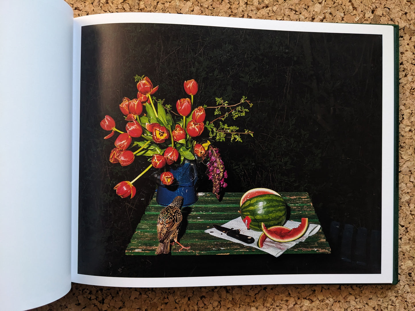 Plates I-XXXI by Lia Darjes, bird on a green table with tulips, a watermelon, and a knife in a nocturnal still life.