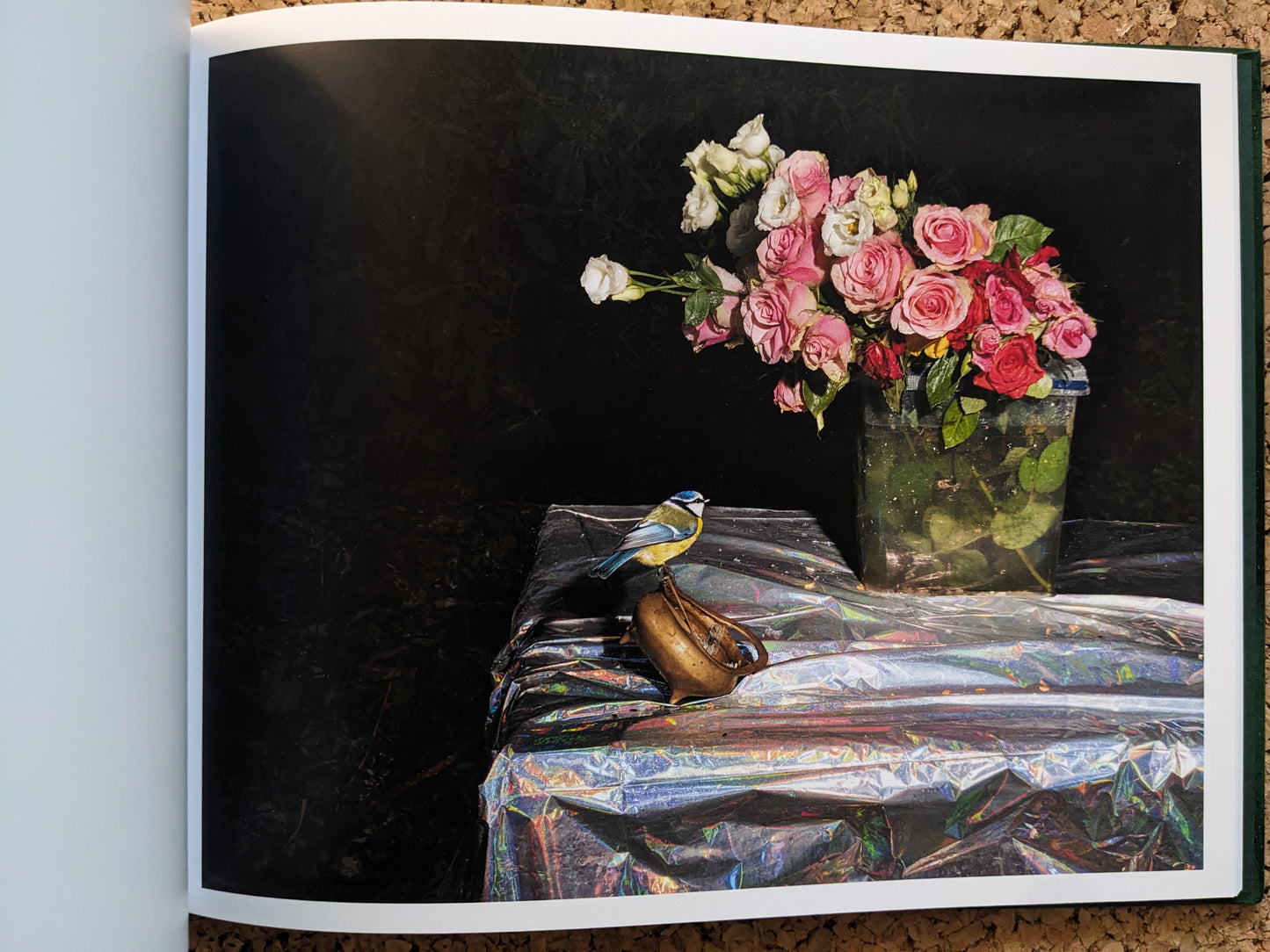 Plates I-XXXI by Lia Darjes, blue-and-yellow bird perched on a shoe beside a bouquet on a reflective foil-covered table.