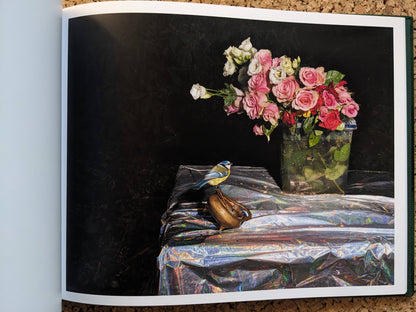Plates I-XXXI by Lia Darjes, blue-and-yellow bird perched on a shoe beside a bouquet on a reflective foil-covered table.