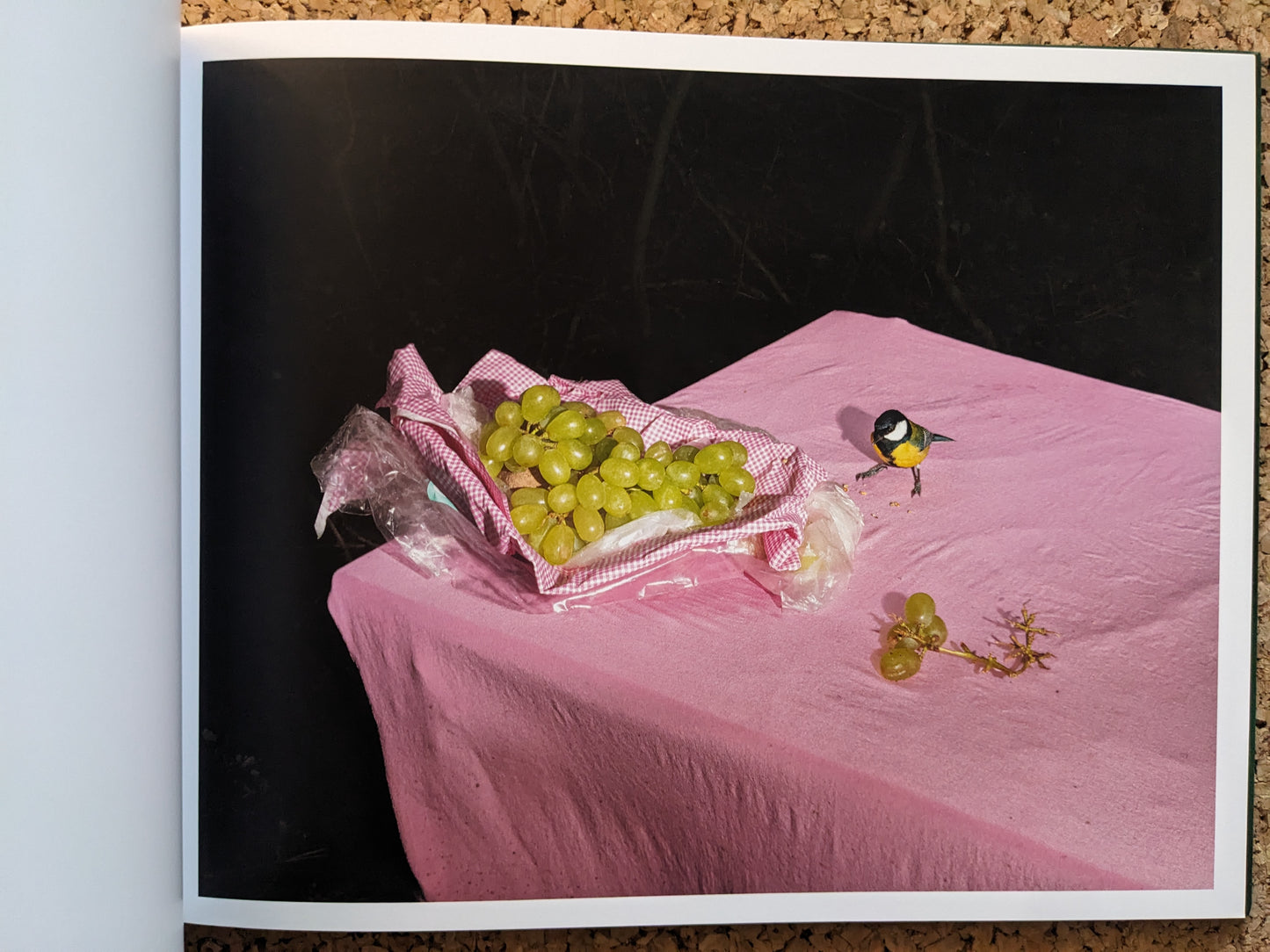 Interior spread from Plates I-XXXI – small bird near a bunch of green grapes on a pink tablecloth.