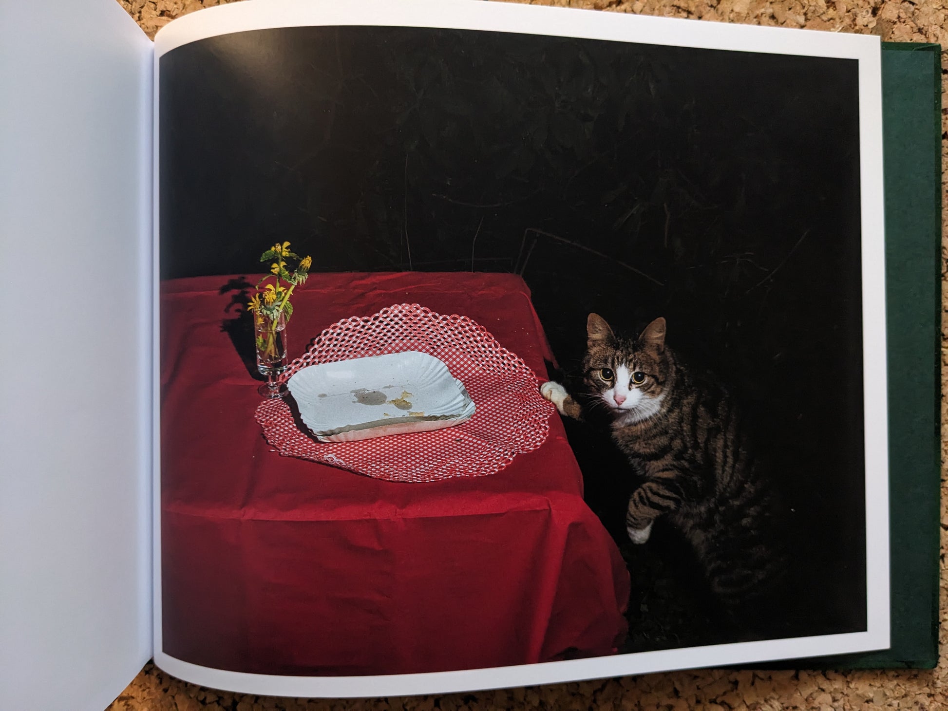 Interior spread from Plates I-XXXI – tabby cat beside a red tablecloth with an empty plate and a small vase.