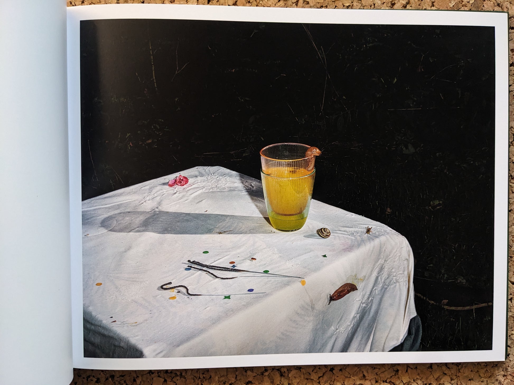 Interior spread from Plates I-XXXI – glass with yellow drink, snail on the rim, and a slug on a white tablecloth edge.