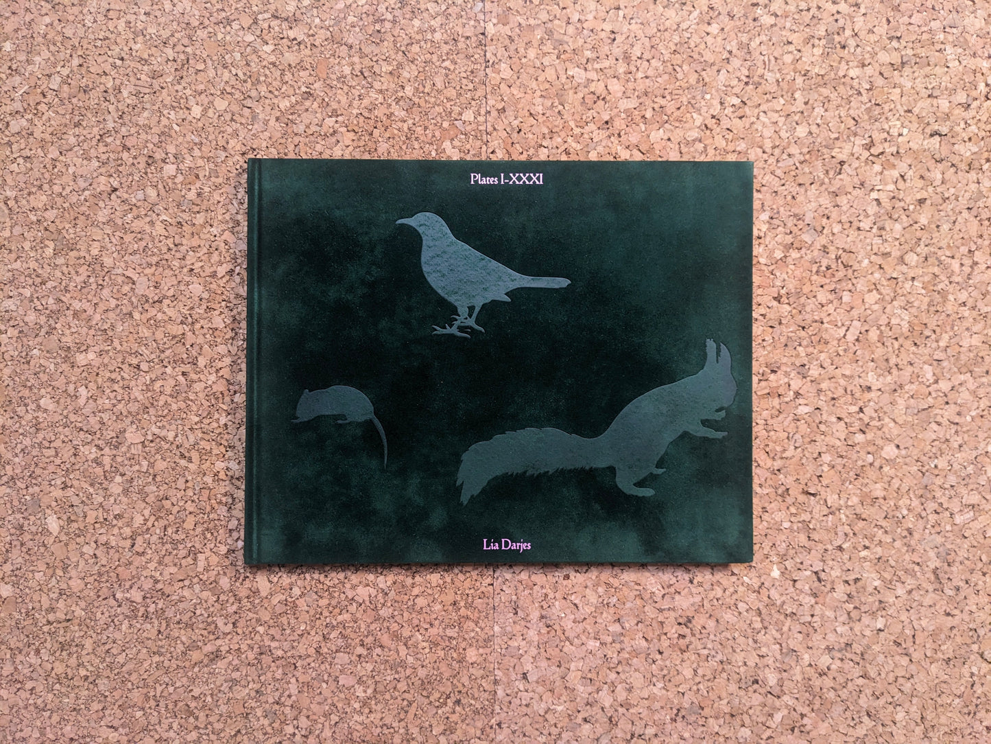 Front cover of Plates I-XXXI by Lia Darjes, green textured cover with silhouettes of a bird, squirrel, and mouse.