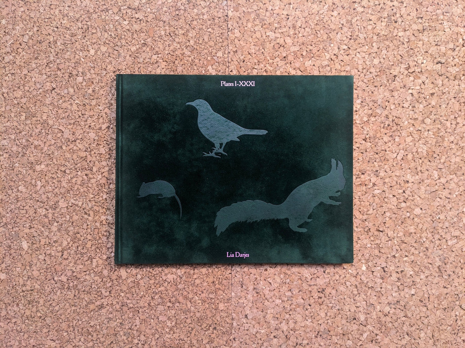 Front cover of Plates I-XXXI by Lia Darjes, green textured cover with silhouettes of a bird, squirrel, and mouse.