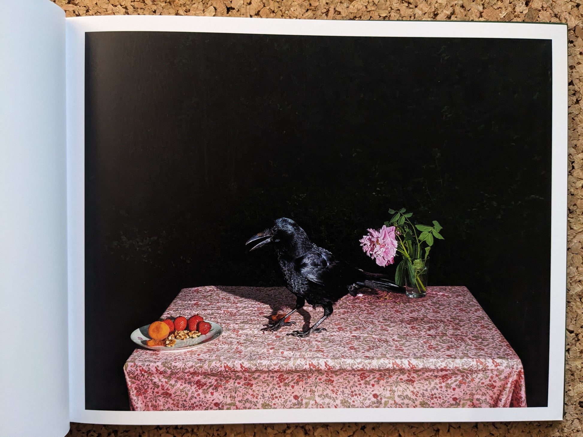 Plates I-XXXI by Lia Darjes, crow on a patterned tablecloth with a fruit plate and a vase of flowers.