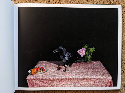 Plates I-XXXI by Lia Darjes, crow on a patterned tablecloth with a fruit plate and a vase of flowers.