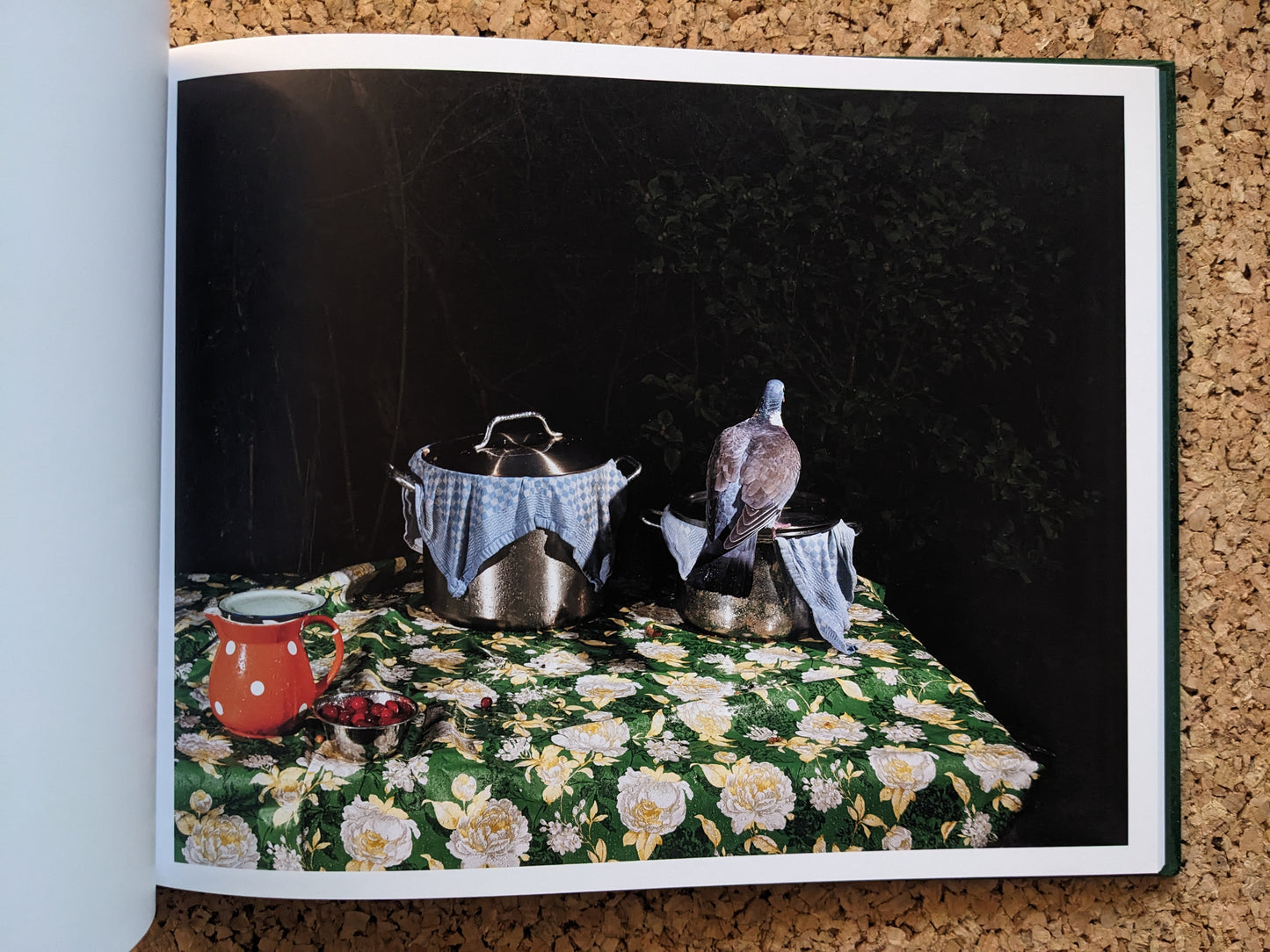 Plates I-XXXI by Lia Darjes, pigeon on cooking pots covered with cloth on a floral table, flash-lit in darkness.