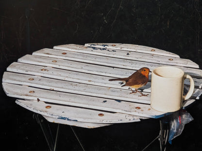 Plates I-XXXI by Lia Darjes, small bird on a round table next to a white mug, flash-lit against a dark background.
