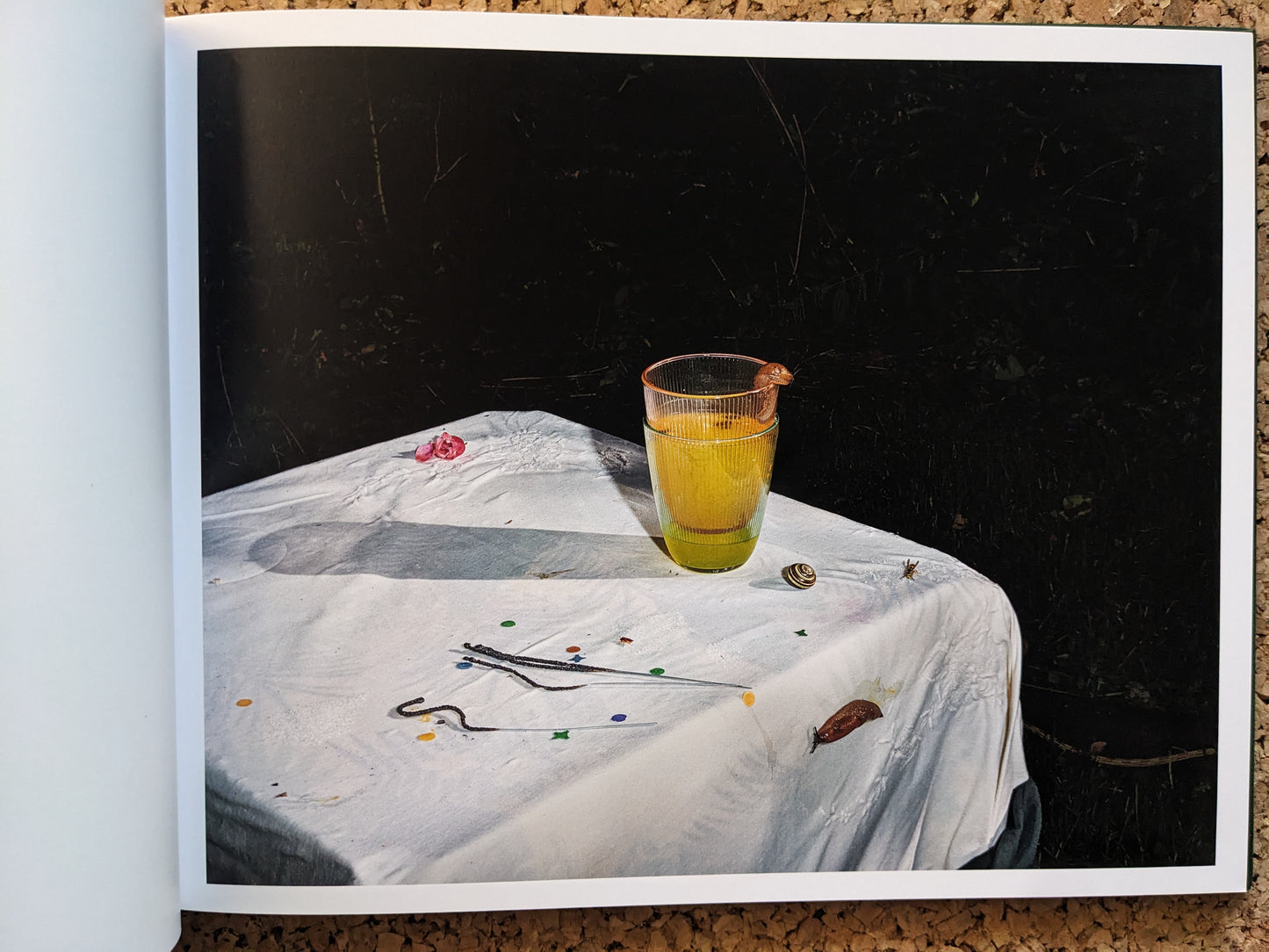 Interior spread from Plates I-XXXI, glass with yellow drink, snail on the rim, and a slug on a white tablecloth edge.