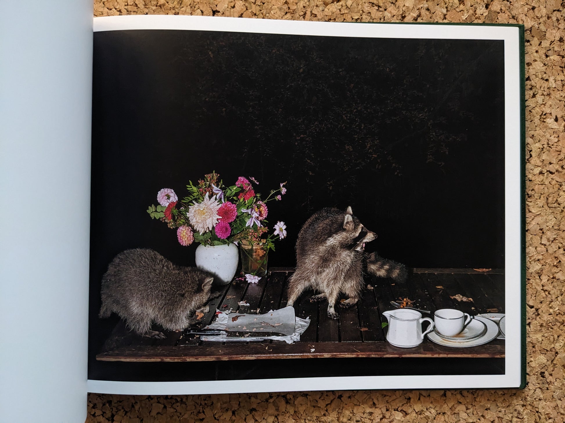 Plates I-XXXI by Lia Darjes, two raccoons on a wooden table with a flower vase and cups, photographed at night.