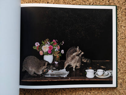 Plates I-XXXI by Lia Darjes, two raccoons on a wooden table with a flower vase and cups, photographed at night.
