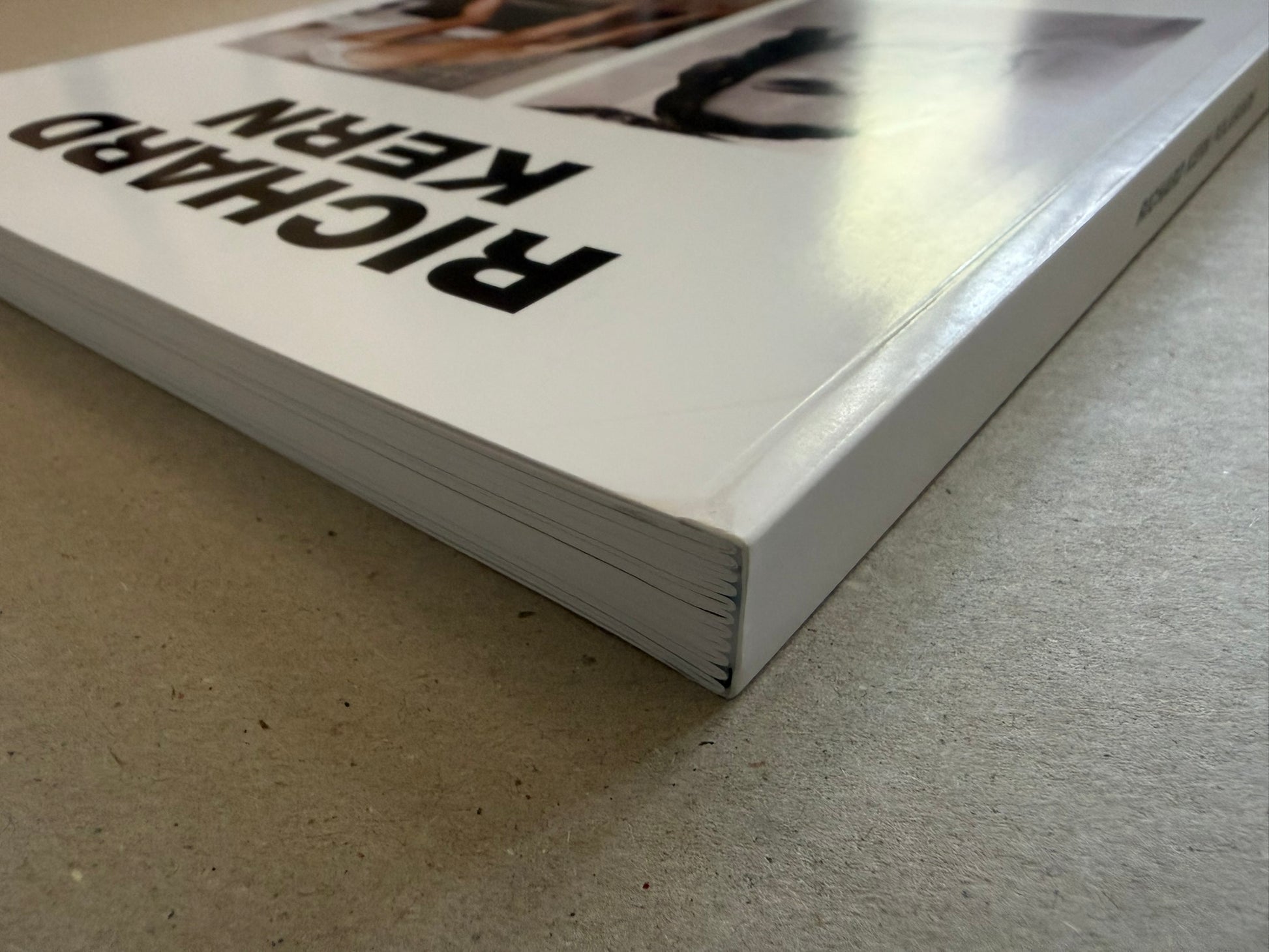 Low-angle view of the closed Polaroids book, with the white cover and page block visible along the spine.