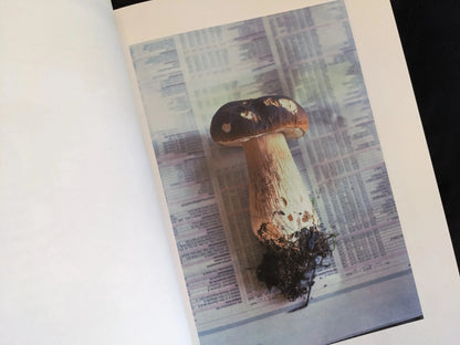 Single porcini mushroom photographed on a newspaper background