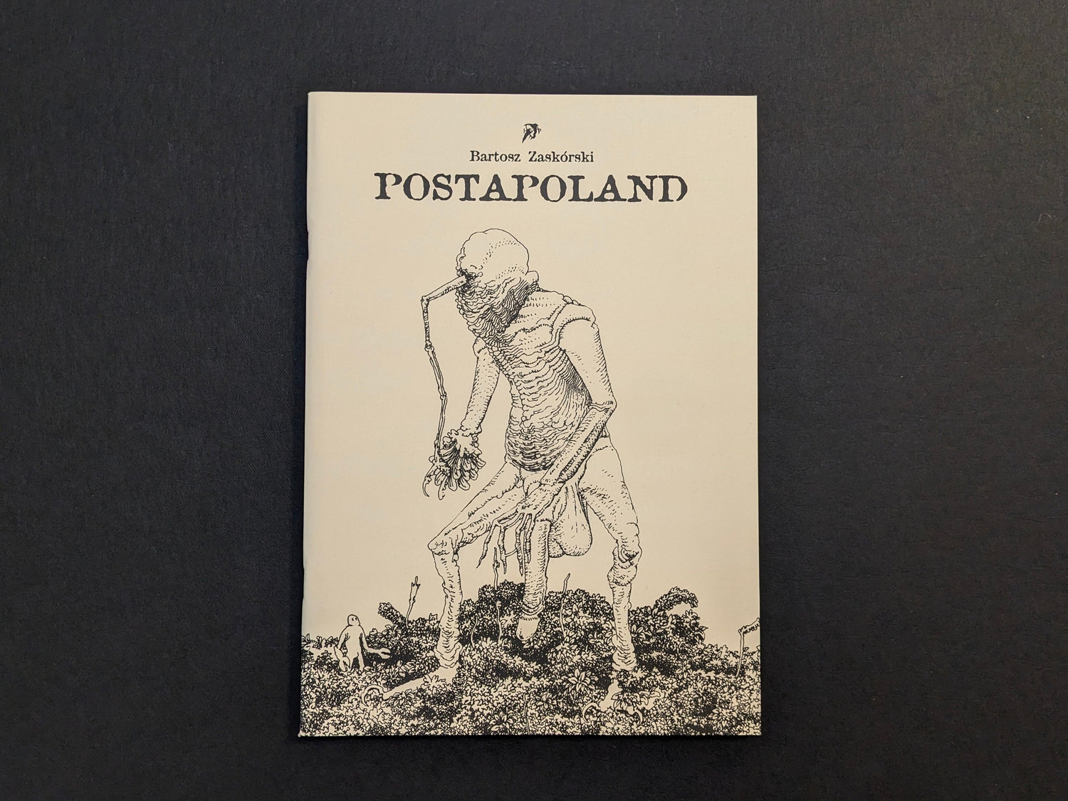 Postapoland by Bartosz Zaskòrski, front cover with a black-and-white grotesque humanoid figure