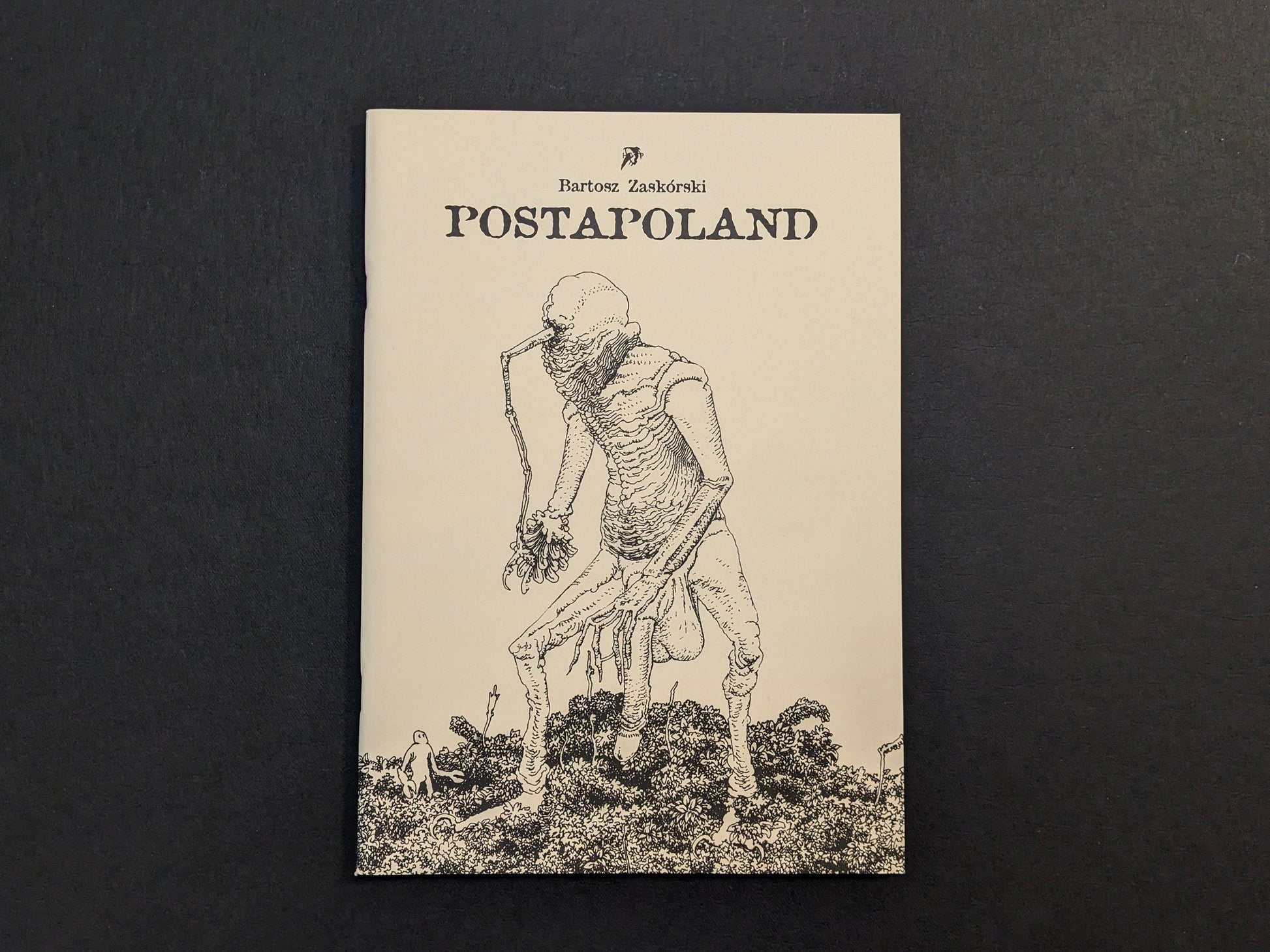 Postapoland by Bartosz Zaskòrski, front cover with a black-and-white grotesque humanoid figure