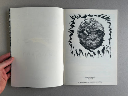 Postapoland open to a chapter page with a mouldy sun illustration and the chapter heading on the right-hand page.