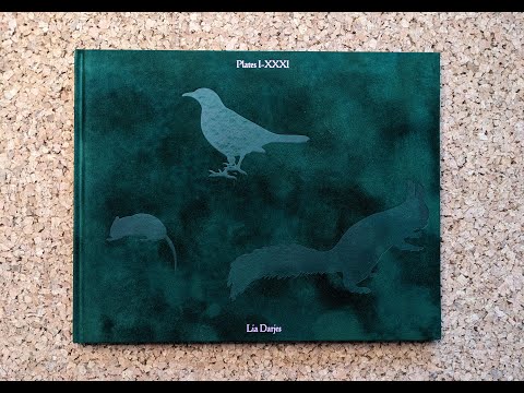 Plates I-XXXI — Lia Darjes | Flip-through