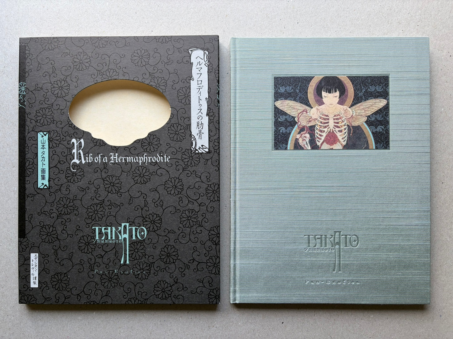 Rib of a Hermaphrodite by Takato Yamamoto, slipcase and hardcover shown side by side.