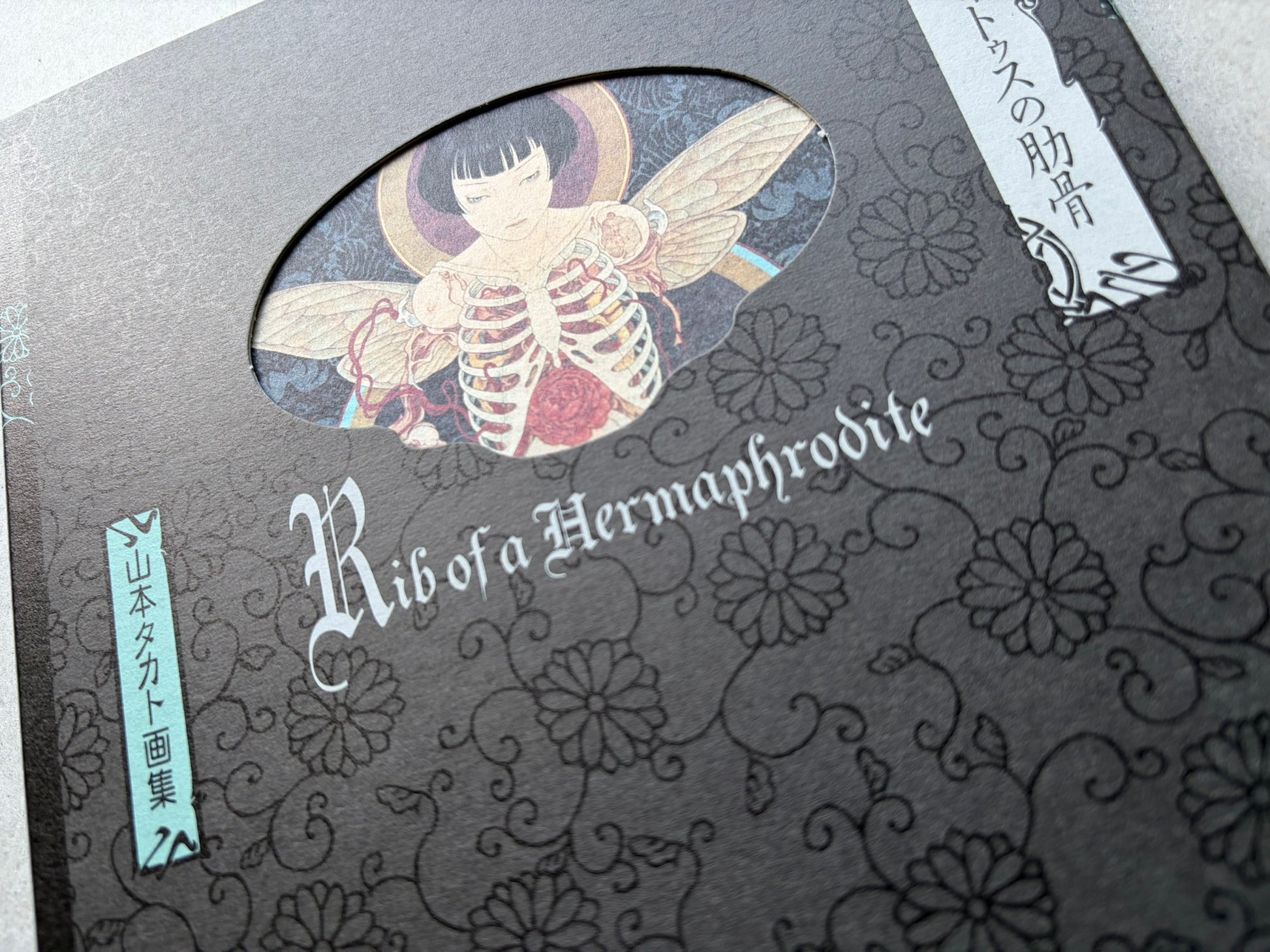 Rib of a Hermaphrodite by Takato Yamamoto, close-up of the front cover showing the title, oval illustration, and Japanese subtitle.