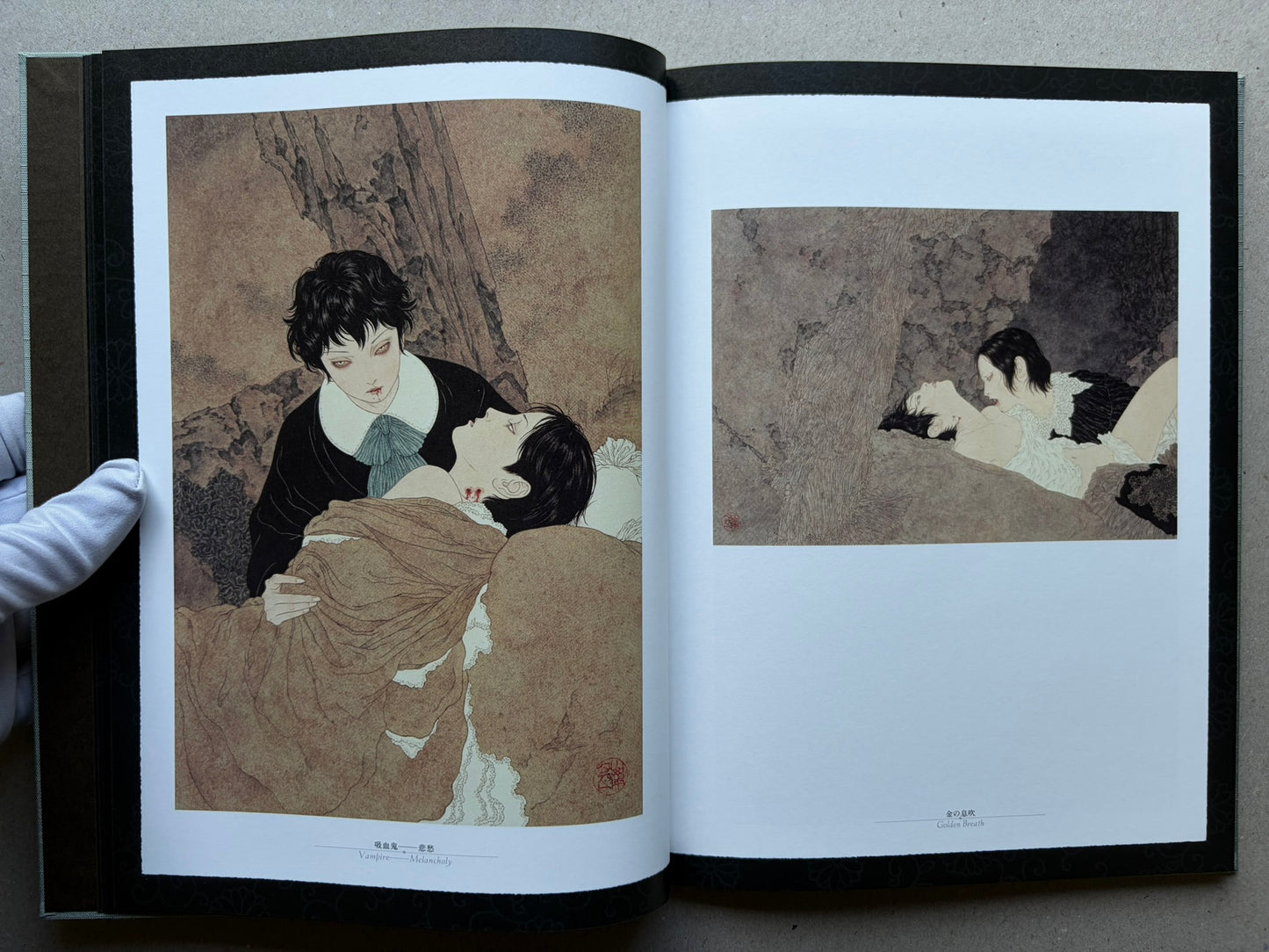 Rib of a Hermaphrodite by Takato Yamamoto, interior spread with two full-page illustrations of bound figures.