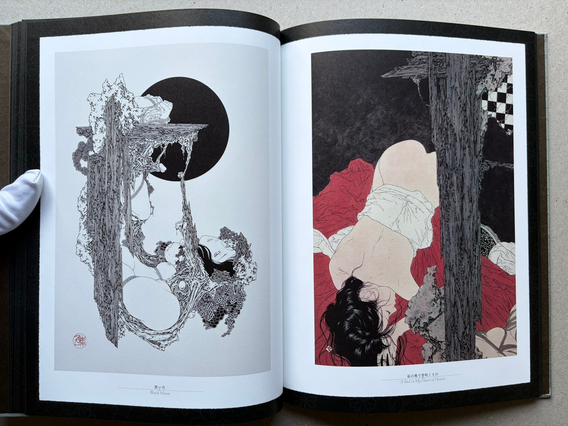 Rib of a Hermaphrodite by Takato Yamamoto, interior spread with two contrasting illustrations, one in black and white and one with a red garment.