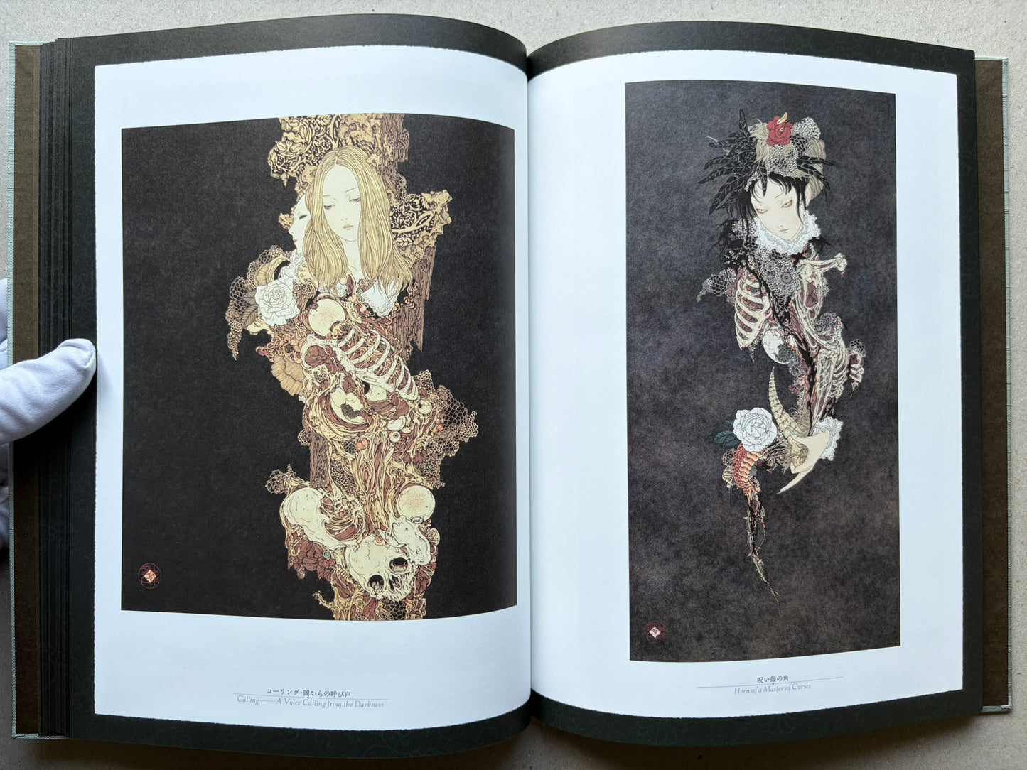 Rib of a Hermaphrodite by Takato Yamamoto, interior spread with two full-page character illustrations on dark backgrounds.