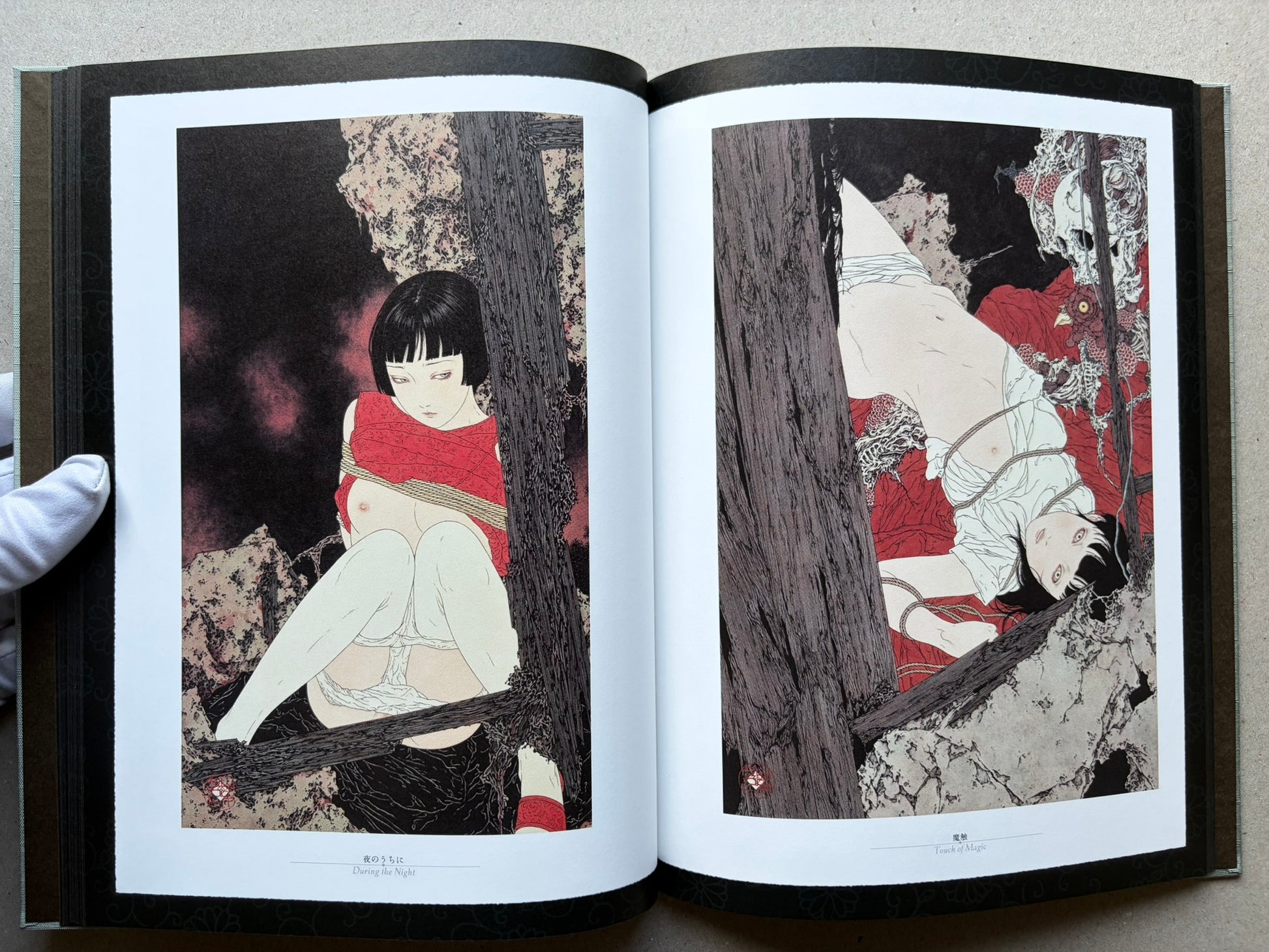 Rib of a Hermaphrodite by Takato Yamamoto, interior spread with two illustrated pages featuring a seated figure and a reclining figure among dark tree trunks.